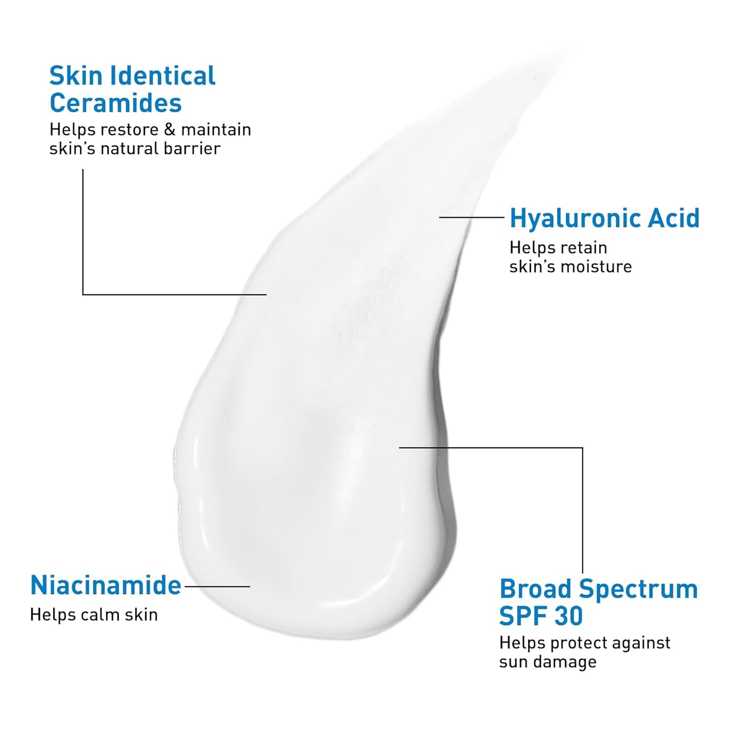 AM Facial Moisturizing Lotion SPF 30 with Sunscren