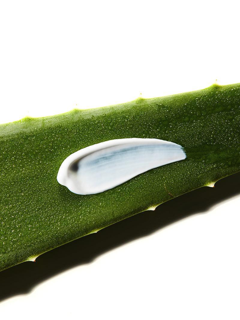 Aloe Soothing Sun Cream SPF50+ PA+++ - Hydrating Korean Sunscreen for Daily UV Protection